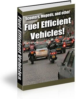 Fuel Efficient Vehicles (PLR)