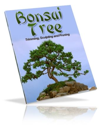 Bonsai Trees: Growing, Trimming, Sculpting & Pruning (PLR)
