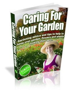 Caring For Your Garden