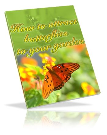 How to Attract Butterflies to Your Garden (PLR)