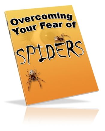 Overcoming Your Fear of Spiders (PLR)